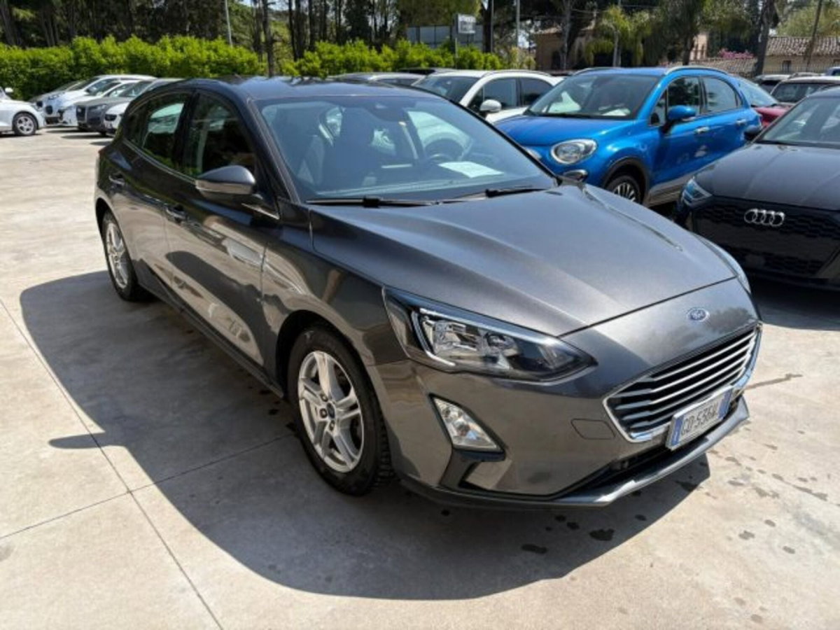 Ford Focus 1.5 EcoBlue 120 CV 5p. Business (3)