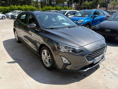 Ford Focus 1.5 EcoBlue 120 CV 5p. Business (3)
