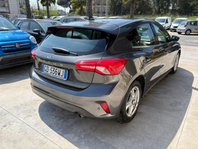 Ford Focus 1.5 EcoBlue 120 CV 5p. Business (6)
