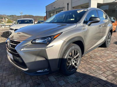 Lexus NX Hybrid 4WD Icon usata