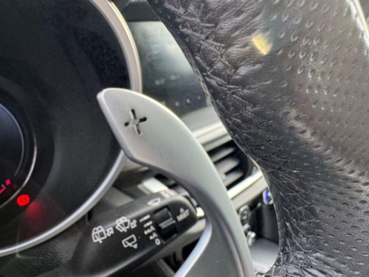 Alfa Romeo Stelvio Stelvio 2.2 Turbodiesel 210 CV AT8 Q4 Veloce (10)