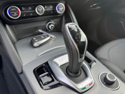 Alfa Romeo Stelvio Stelvio 2.2 Turbodiesel 210 CV AT8 Q4 Veloce (7)