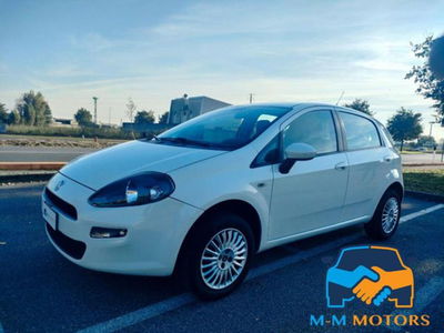 Fiat Punto 1.4 8V 5 porte Natural Power Street usata