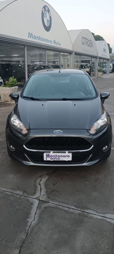 Ford Fiesta 1.5 TDCi 95CV 5 porte Business N1 (12)