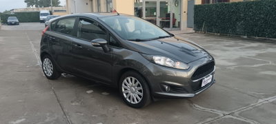 Ford Fiesta 1.5 TDCi 95CV 5 porte Business N1 (2)