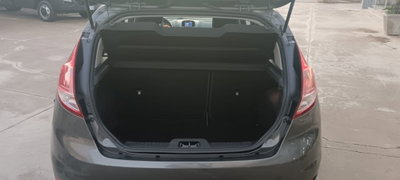 Ford Fiesta 1.5 TDCi 95CV 5 porte Business N1 (5)