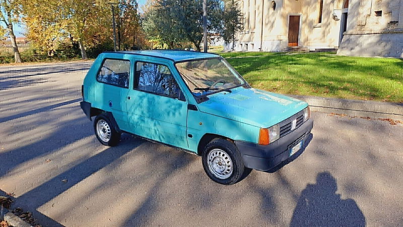 Fiat Panda 900 i.e. cat Young