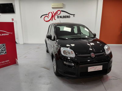Fiat Panda Cross Cross 1.0 FireFly S&S Hybrid usata