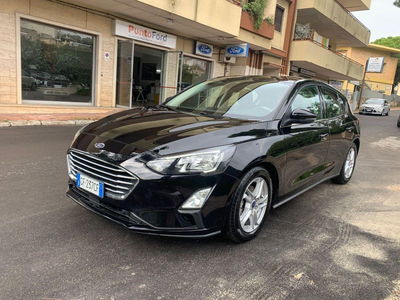 Ford Focus 1.5 EcoBlue 120 CV 5p. Business usata