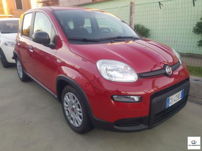 Fiat Panda Cross Cross 1.0 FireFly S&S Hybrid usata