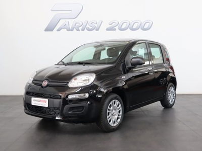Fiat Panda 1.0 firefly hybrid s&s 70cv 5p.ti nuova