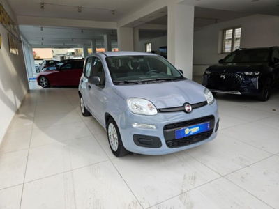 Fiat Panda Cross 1.0 firefly hybrid Cross s&s 70cv 5p.ti usata