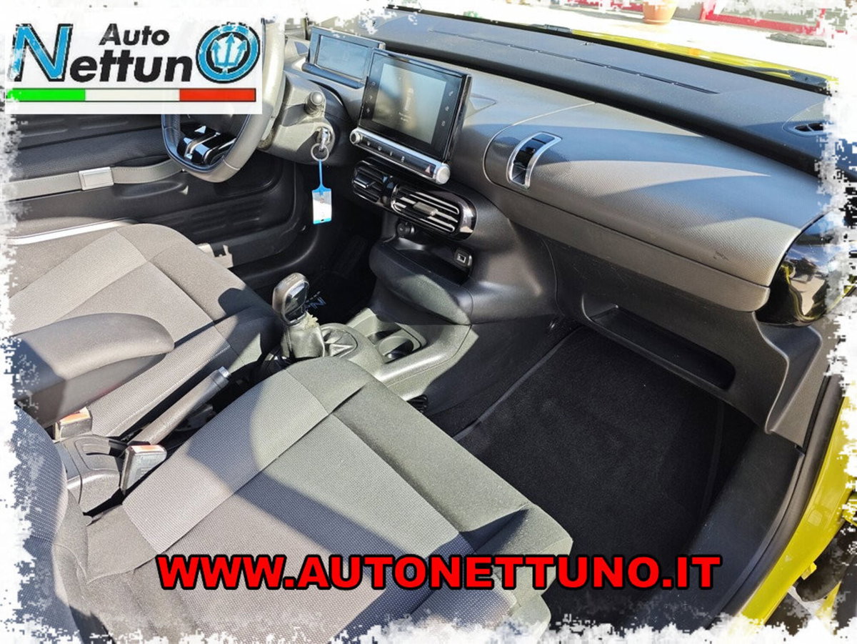 Citroen C4 Cactus BlueHDi 100 S&S Feel (17)