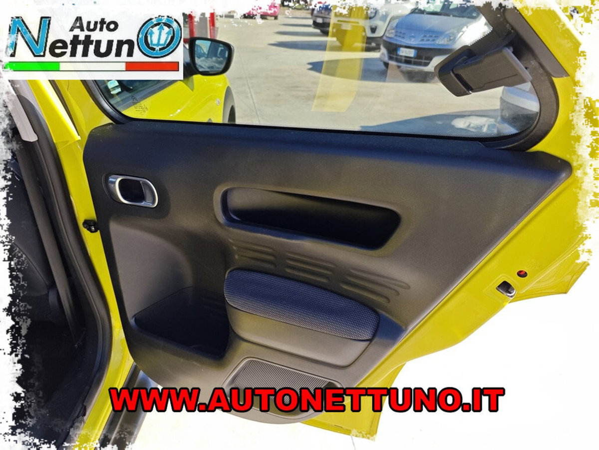 Citroen C4 Cactus BlueHDi 100 S&S Feel (19)