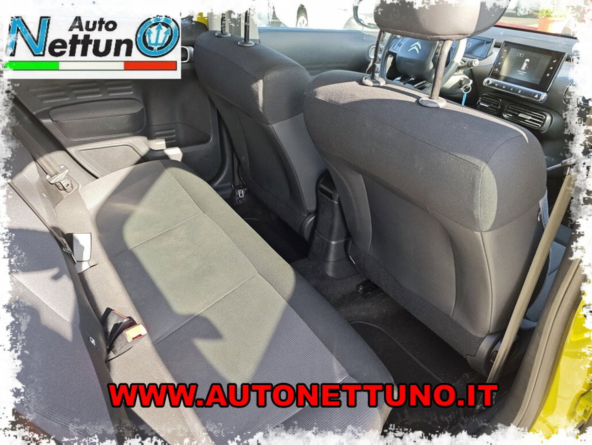 Citroen C4 Cactus BlueHDi 100 S&S Feel (20)