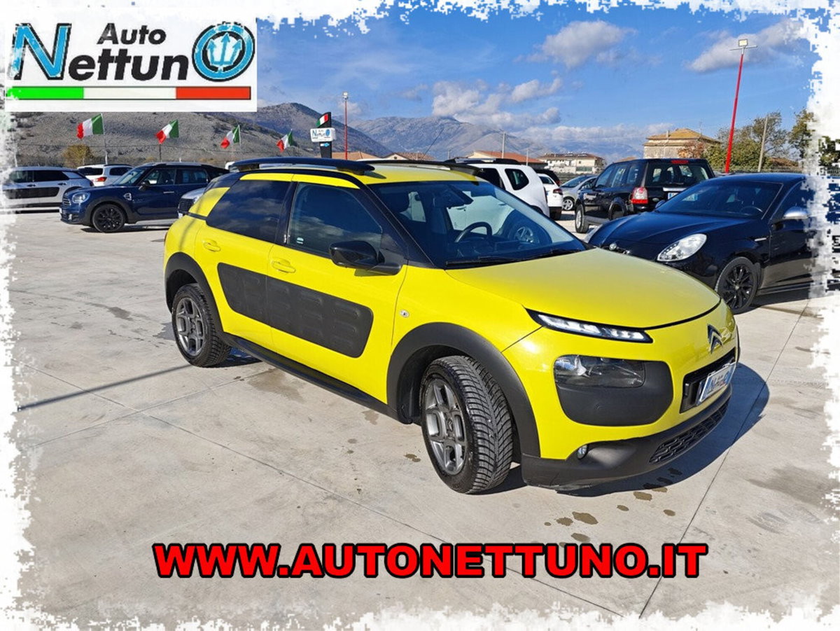 Citroen C4 Cactus BlueHDi 100 S&S Feel (3)