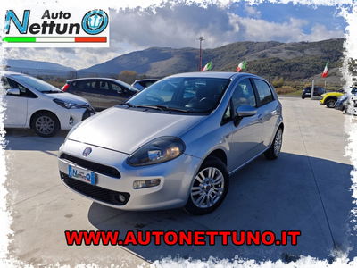 Fiat Punto 1.2 8V 5 porte Lounge usata