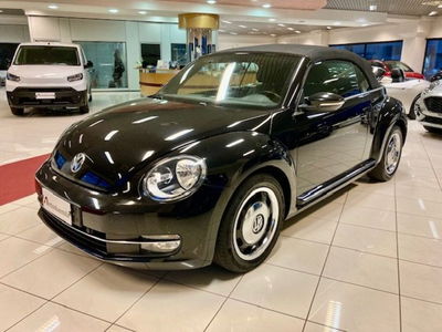 Volkswagen Maggiolino Cabrio 1.2 TSI Design usata