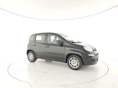 Fiat Panda 1.0 FireFly S&S Hybrid City Cross nuova