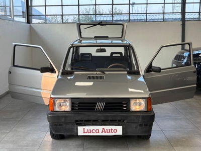 Fiat Panda 1100 i.e. cat College usata