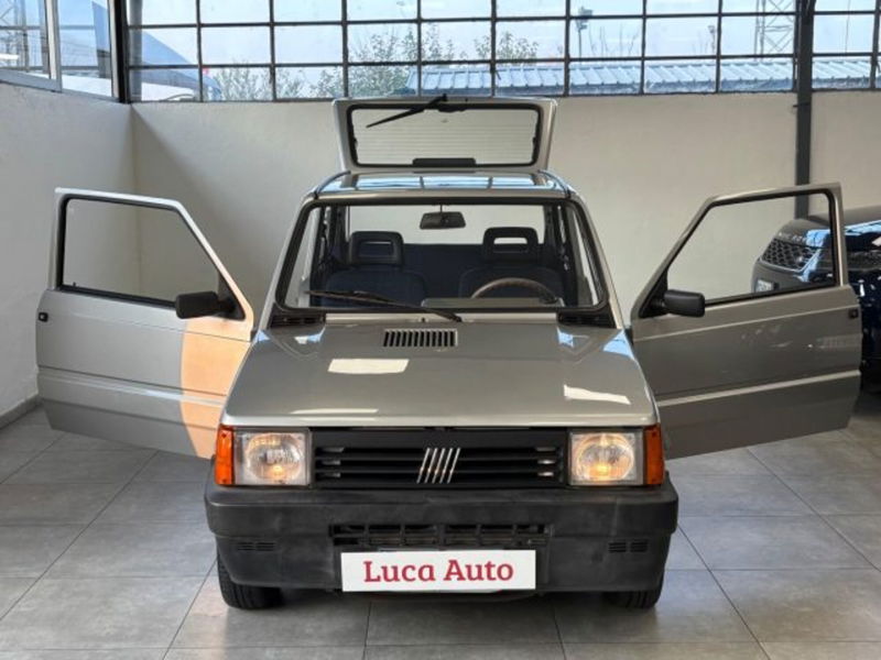 Fiat Panda 1100 i.e. cat College