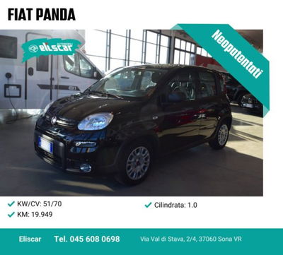 Fiat Panda 1.0 firefly hybrid s&s 70cv 5p.ti usata