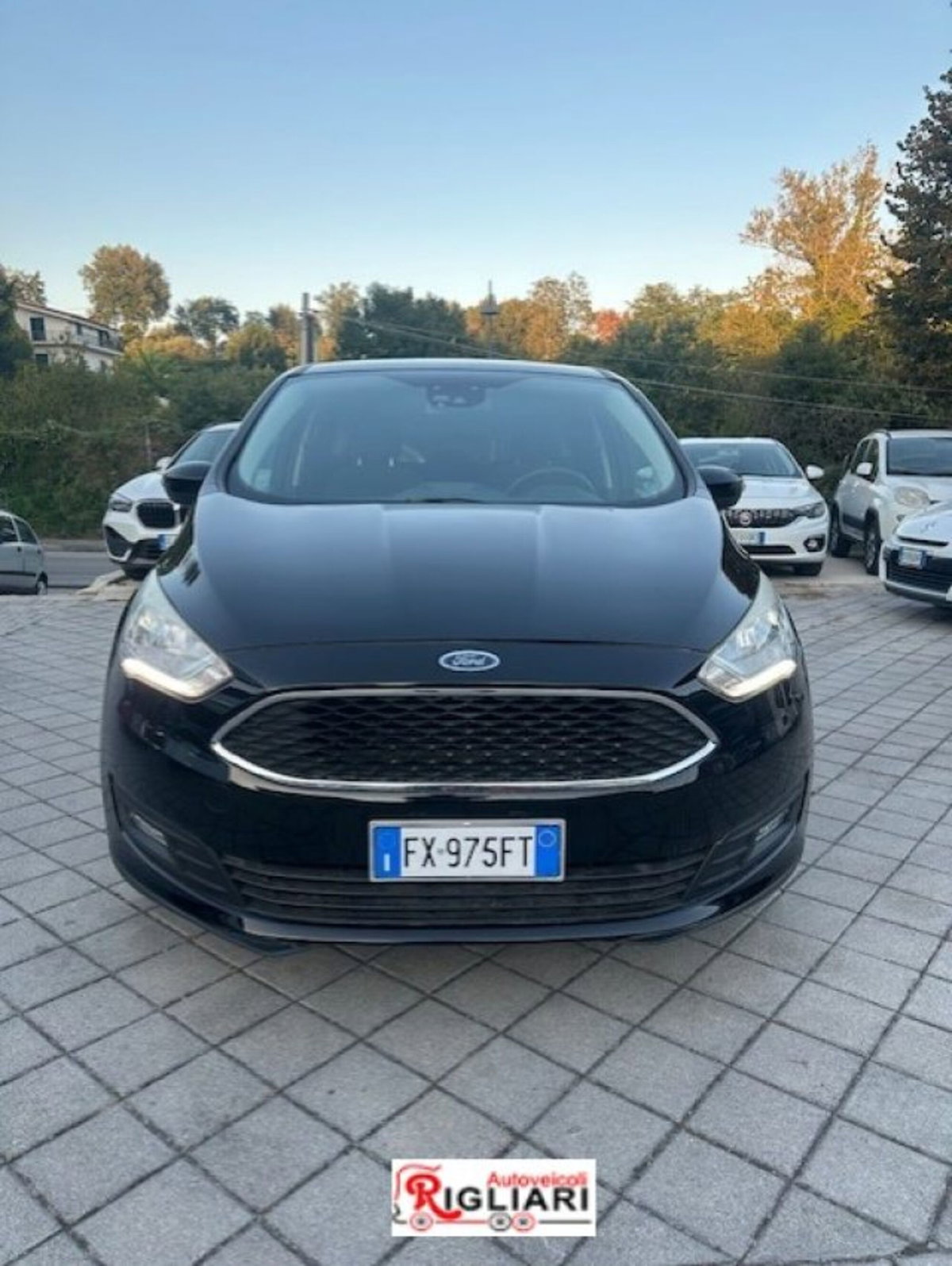 Ford C-Max 1.5 EcoBlue 120CV Start&Stop Business (10)