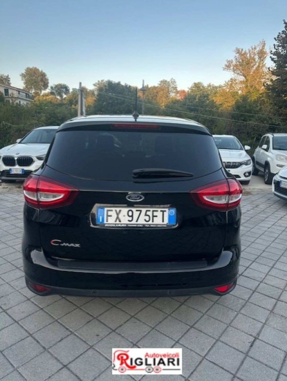Ford C-Max 1.5 EcoBlue 120CV Start&Stop Business (5)