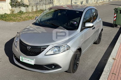 Lancia Ypsilon 1.2 69 CV 5 porte Gold usata