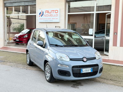 Fiat Panda 1.0 FireFly S&S Hybrid usata
