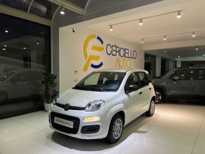 Fiat Panda 1.0 firefly hybrid s&s 70cv 5p.ti nuova