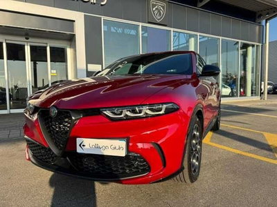 Alfa Romeo Tonale 1.6 Sprint 130cv tct6 (17)