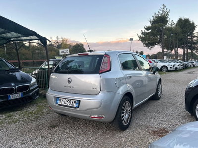 Fiat Punto Classic 1.3 MJT 5 porte Active (6)