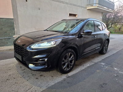 Ford Kuga 1.5 EcoBlue 120 CV 2WD ST-Line usata