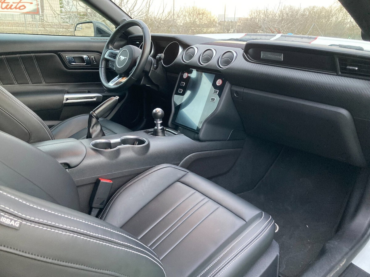 Ford Mustang Coupé Fastback 2.3 EcoBoost (19)