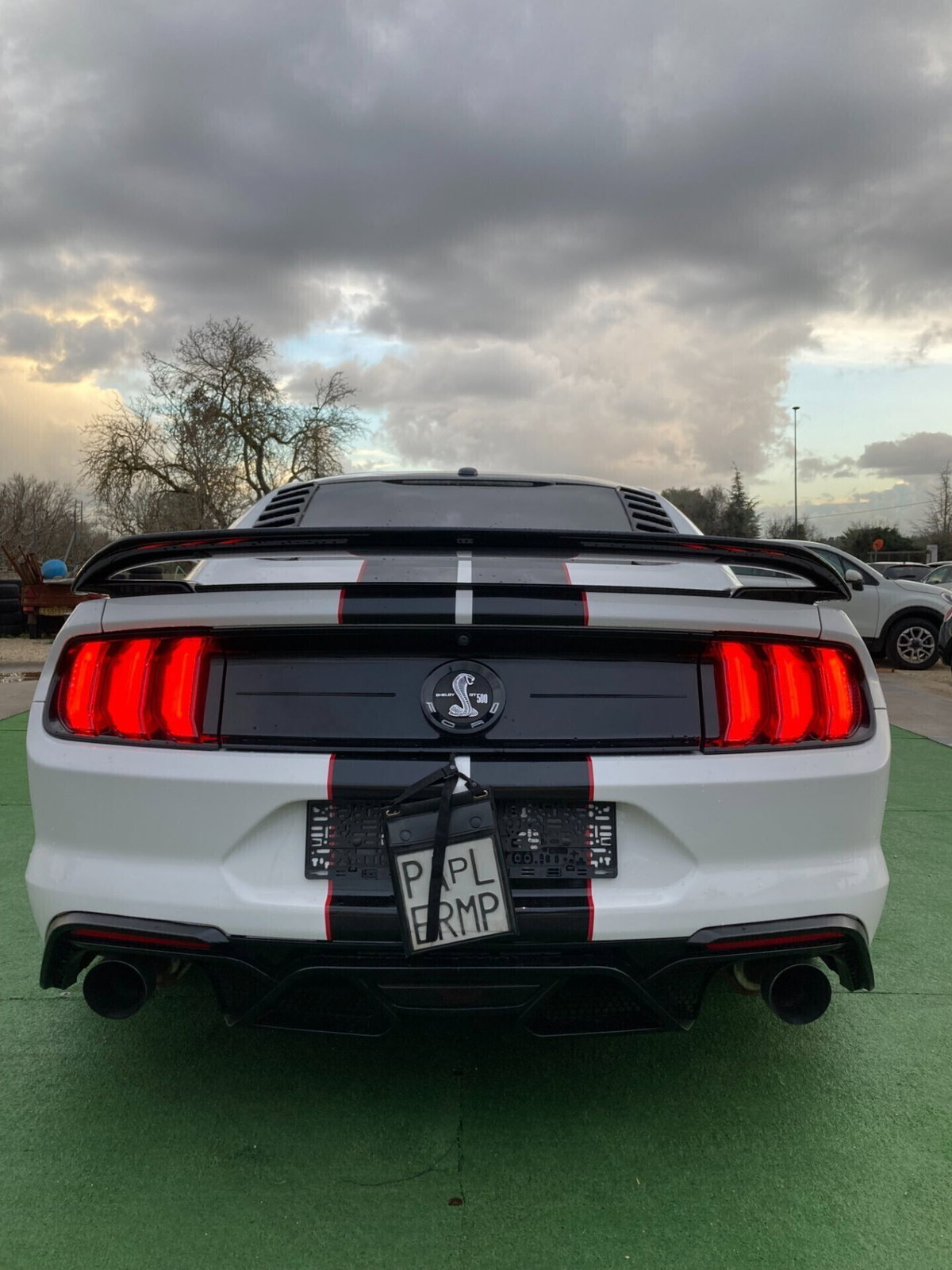 Ford Mustang Coupé Fastback 2.3 EcoBoost (6)