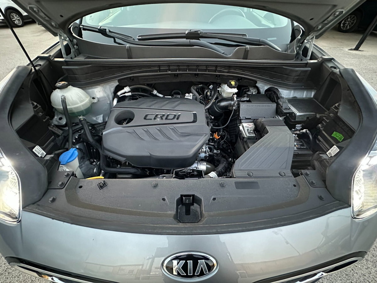 Kia Sportage 1.6 CRDI 136 CV DCT7 2WD Mild Hybrid Business Class (10)