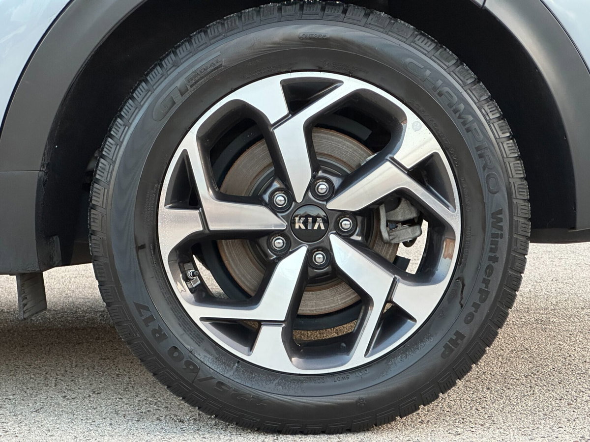 Kia Sportage 1.6 CRDI 136 CV DCT7 2WD Mild Hybrid Business Class (9)