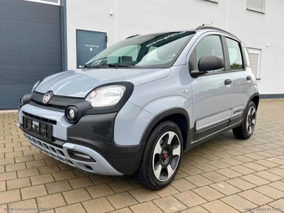 Fiat Panda 1.2 City Cross usata