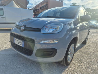 Fiat Panda 1.2 EasyPower Easy usata