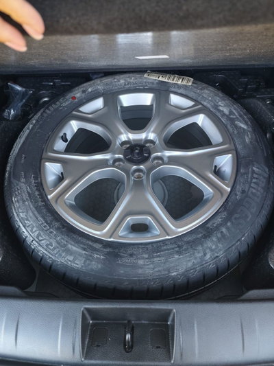 Jeep Renegade 1.6 Mjt 130 CV Limited (10)