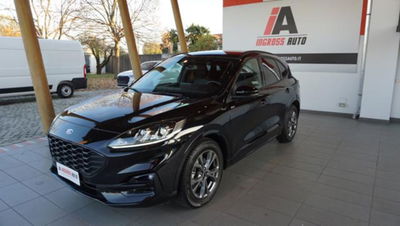 Ford Kuga 2.0 EcoBlue 120 CV aut. 2WD ST-Line X usata