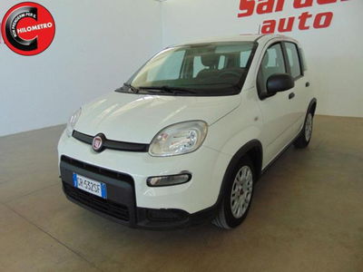Fiat Panda 1.0 firefly hybrid s&s 70cv 5p.ti usata