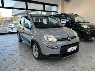 Fiat Panda 1.0 firefly hybrid s&s 70cv 5p.ti usata
