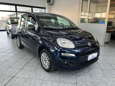 Fiat Panda 1.0 firefly hybrid s&s 70cv 5p.ti usata