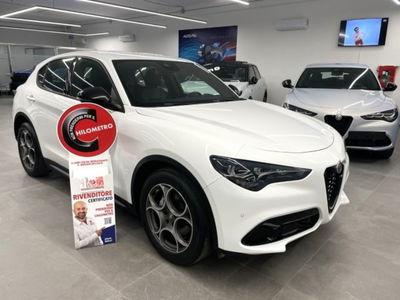 Alfa Romeo Stelvio Stelvio 2.2 Turbodiesel 160 CV AT8 RWD Sprint usata