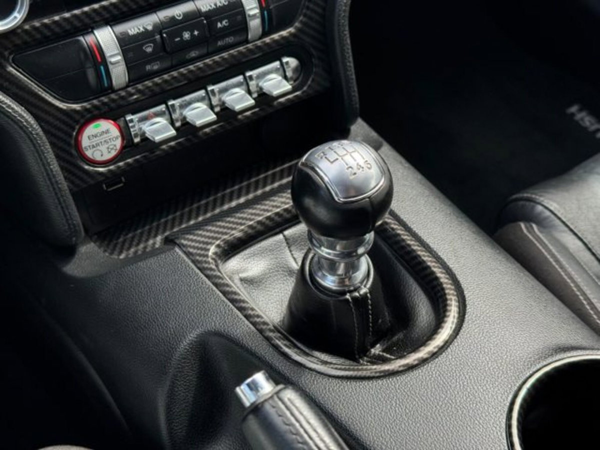 Ford Mustang Coupé Fastback 5.0 V8 TiVCT GT (13)