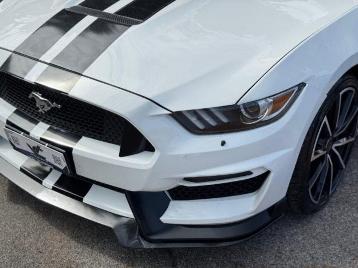 Ford Mustang Coupé Fastback 5.0 V8 TiVCT GT (7)