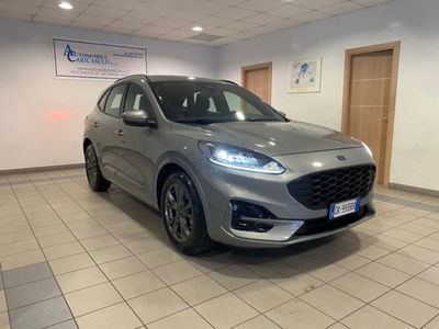 Ford Kuga 1.5 EcoBlue 120 CV aut. 2WD ST-Line X usata