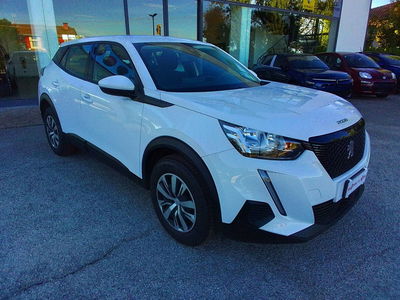 Peugeot 2008 BlueHDi 110 S&S Active usata